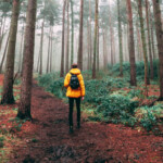 how nature can boost creative thinking with a walk outdoors