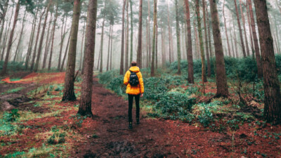 how nature can boost creative thinking with a walk outdoors