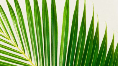 managing notifications