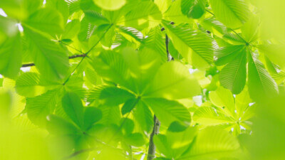 Product News Workflow Automations